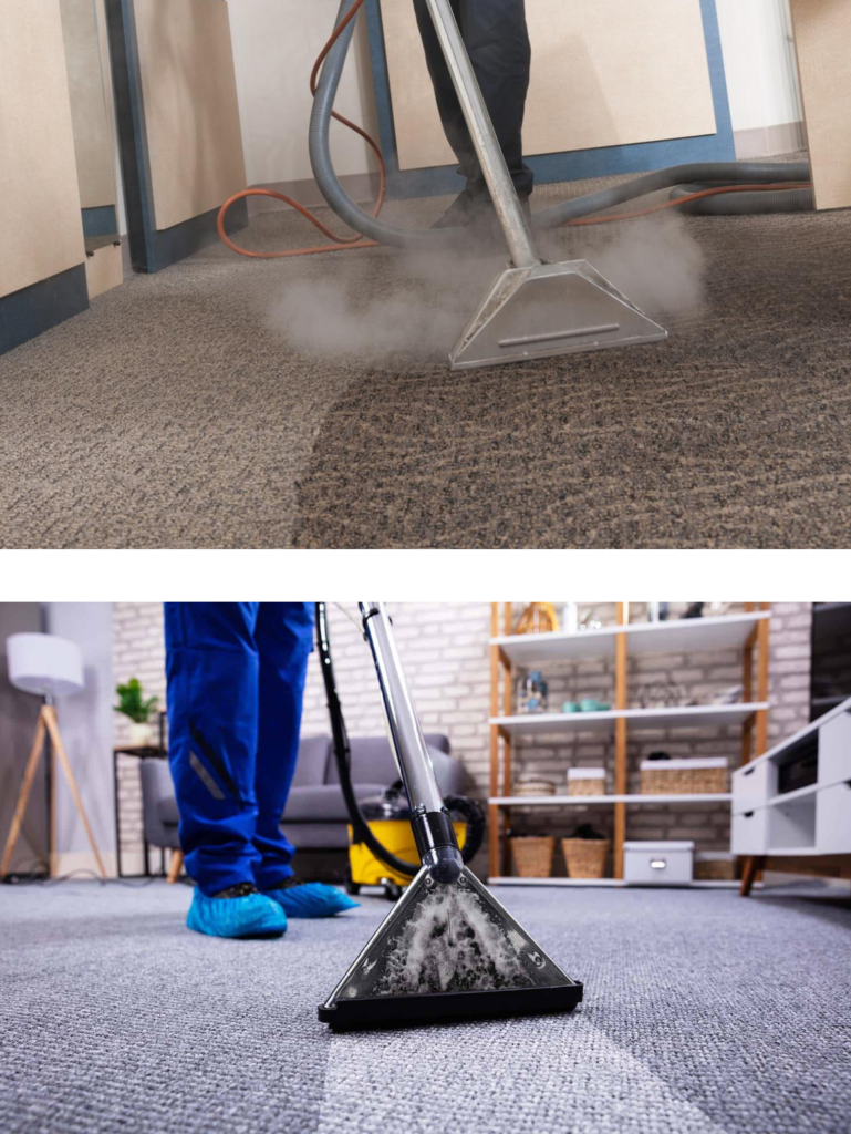 View of Carpet Sanitizing Services - Pro 2 Clean